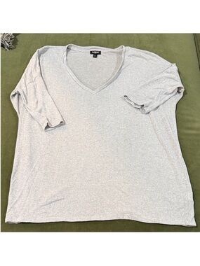 Express Light Gray V-Neck Short Sleeve Women's Top
